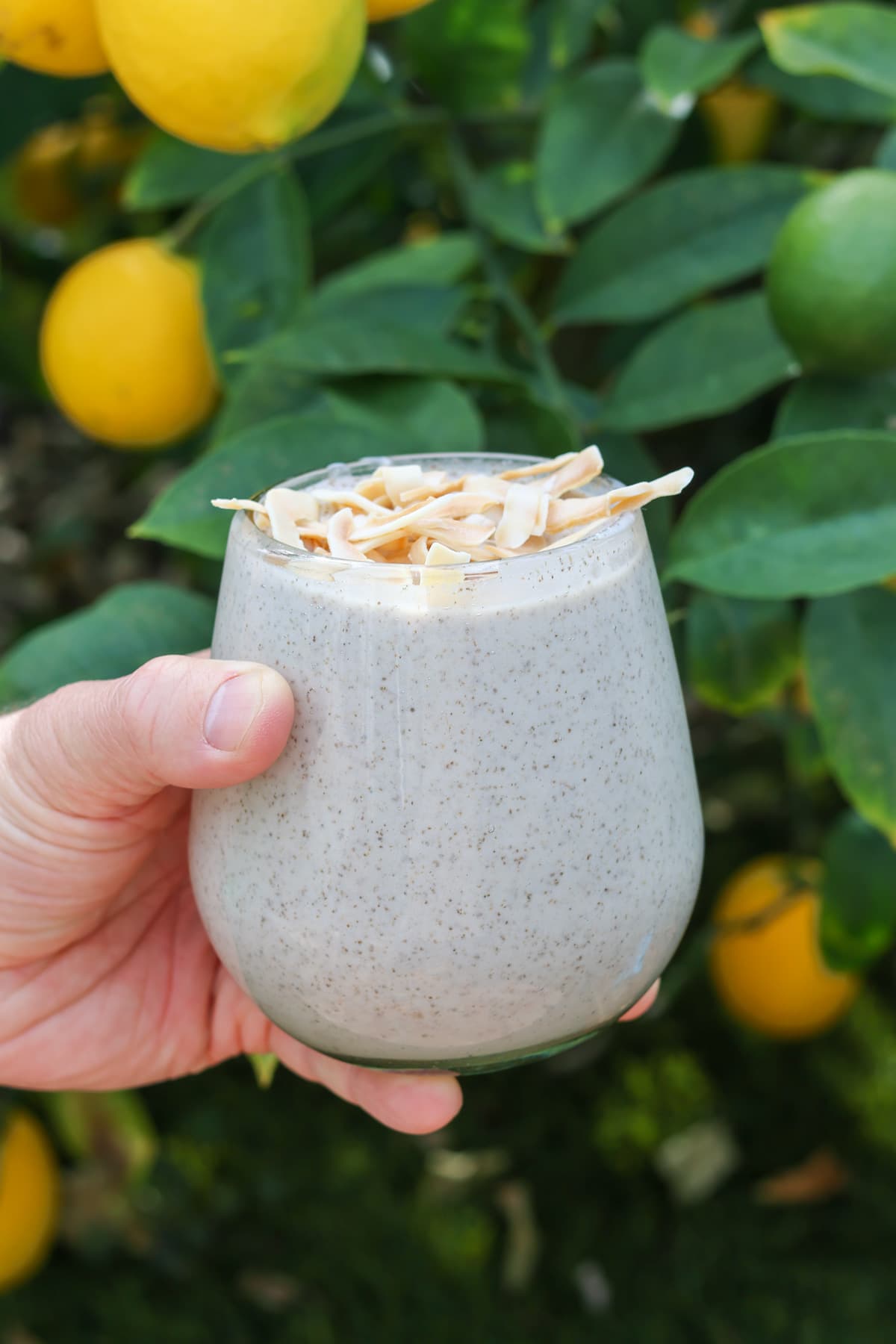 The 10-30-30 Program: 6 Week Summer Meal Plan